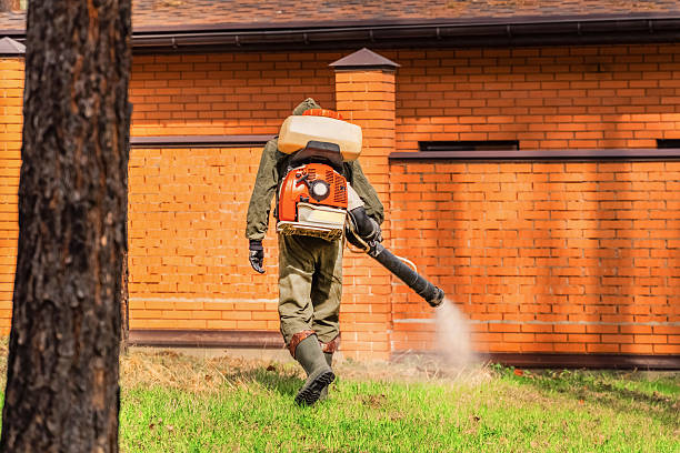 Trusted Ant Control service in Stone Park, IL - Nex Pest Control